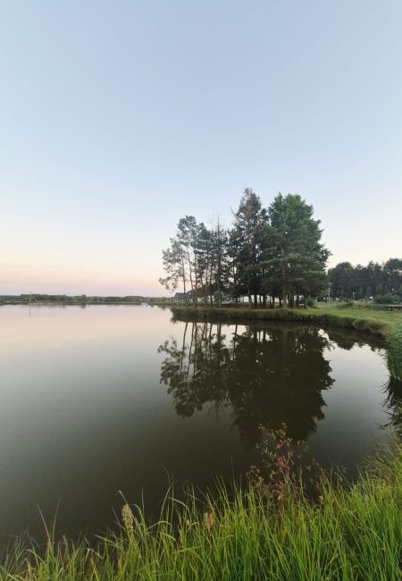 lowisko